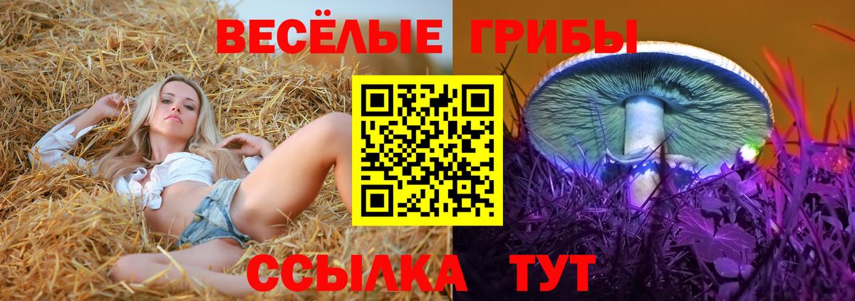 Полевской  закладка  Псилоцибиновые грибы прущие грибы  Вход с VPN  Галлюциногенные грибы ЛСД 