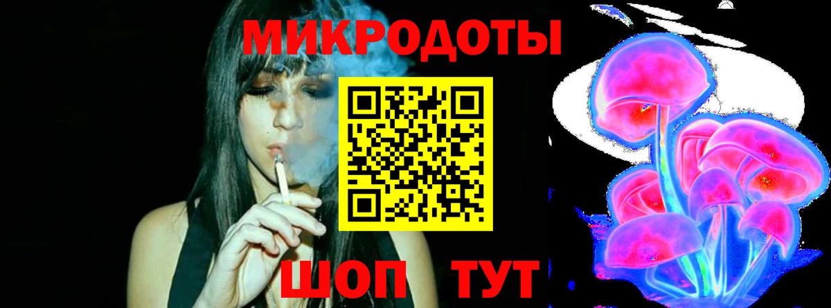 Псилоцибиновые грибы Psilocybe Полевской
